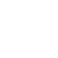 вͿ