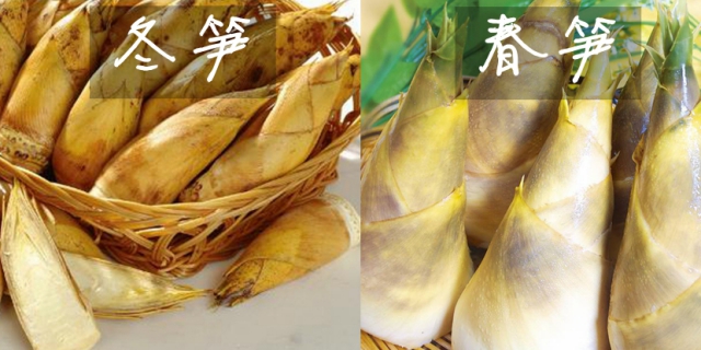 厦门新东方烹饪学校