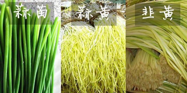 厦门新东方烹饪学校