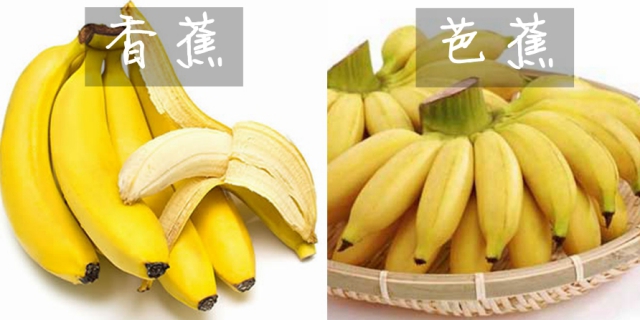 厦门新东方烹饪学校