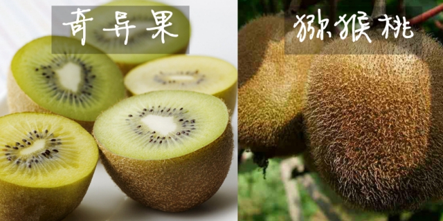 厦门新东方烹饪学校