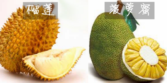 厦门新东方烹饪学校