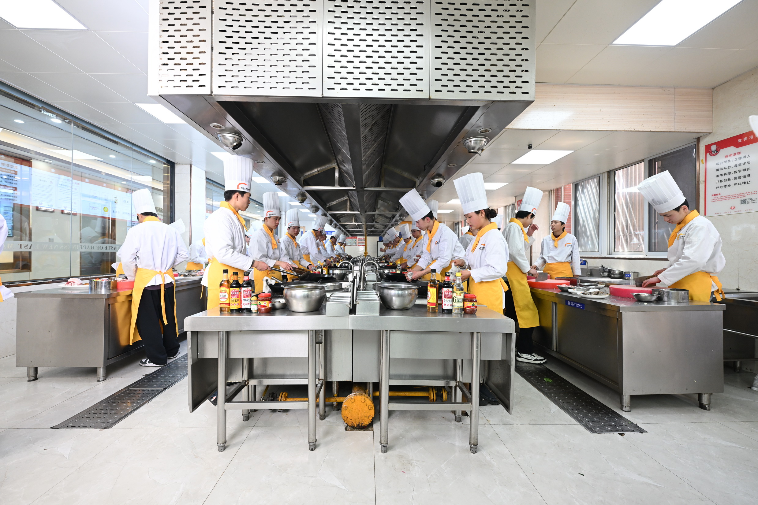 �龰ʽ��������ѧ~�����¶������������YOUNG���ã�